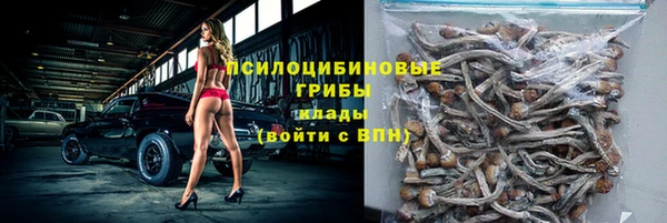 спайс Белокуриха